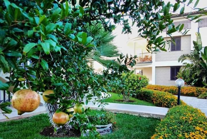 Il Melograno Residence Marzamemi Esterno foto